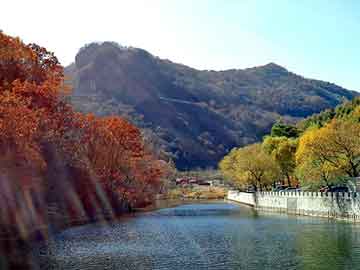 大三巴一肖二码最准，四川海峡钓鱼网